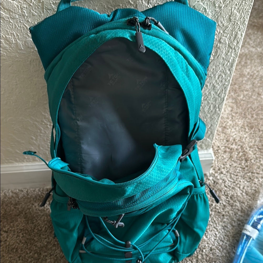 Teal Backpack - image 4